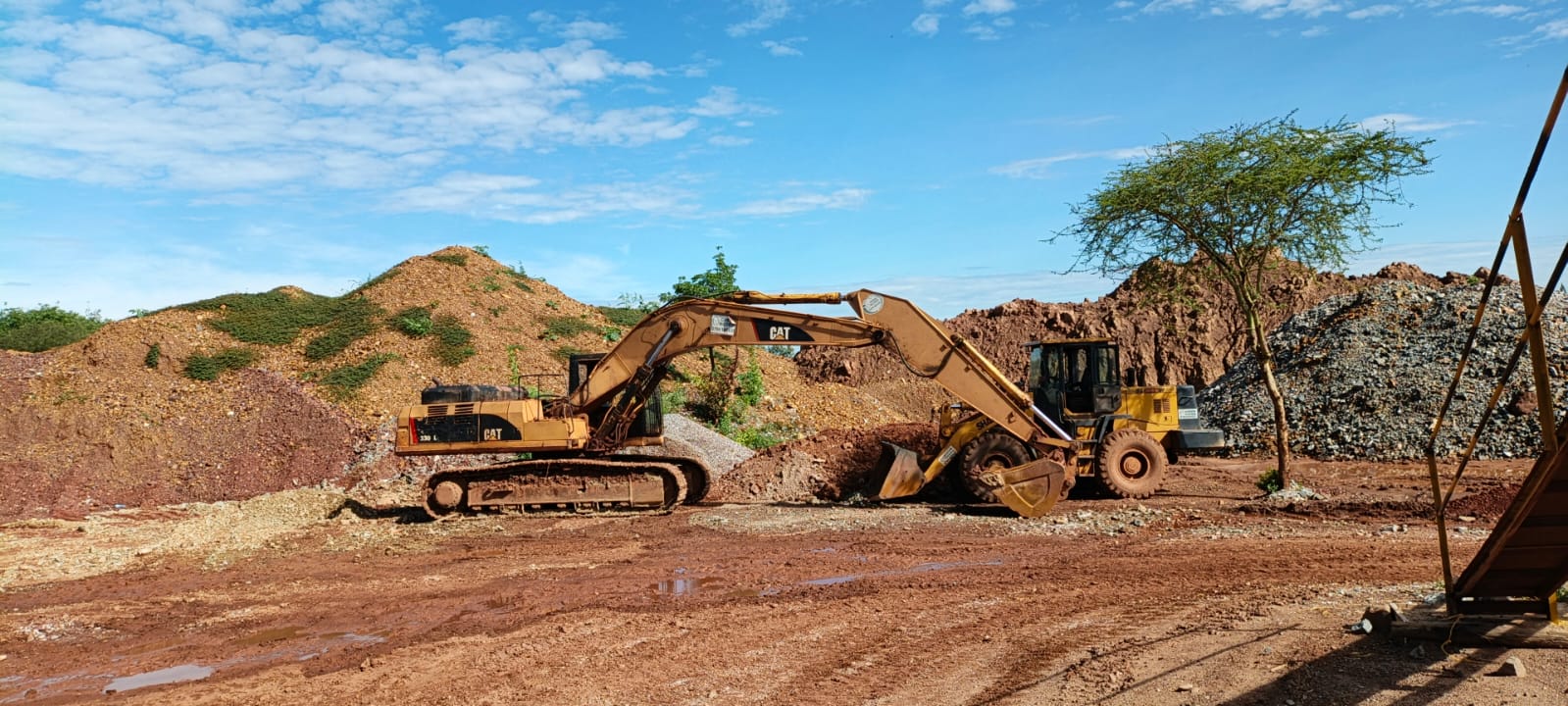 Plant Optimization & Upgrades